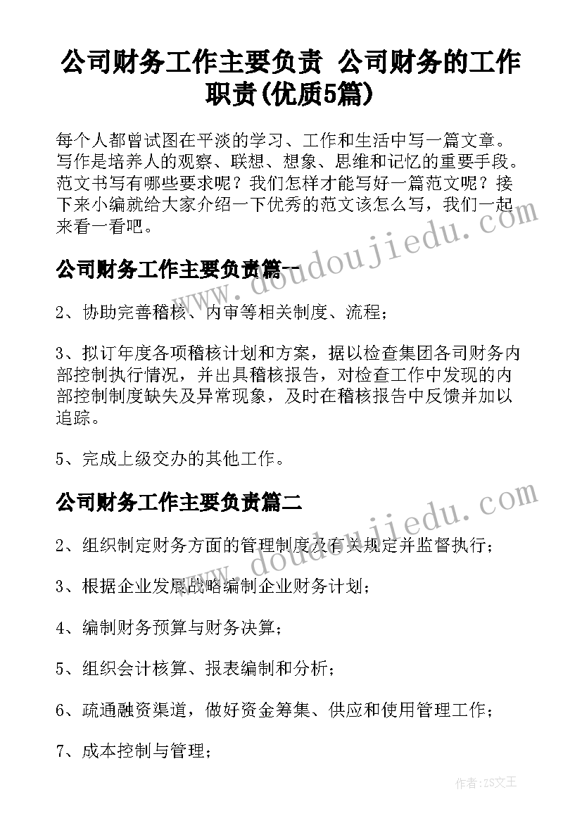 公司财务工作主要负责 公司财务的工作职责(优质5篇)