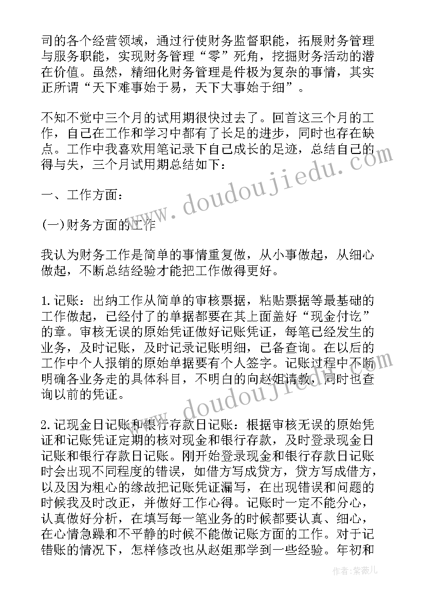 2023年财务人员岗位试用期工作总结(大全6篇)