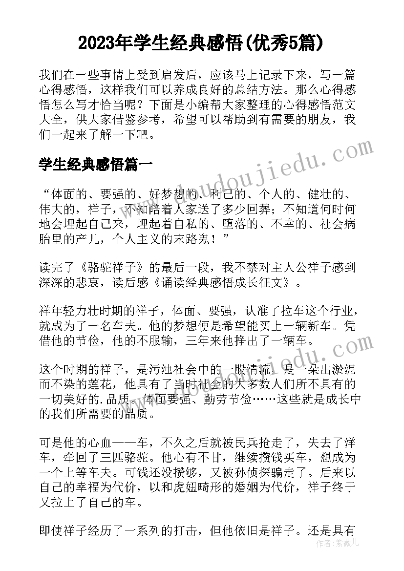 2023年学生经典感悟(优秀5篇)