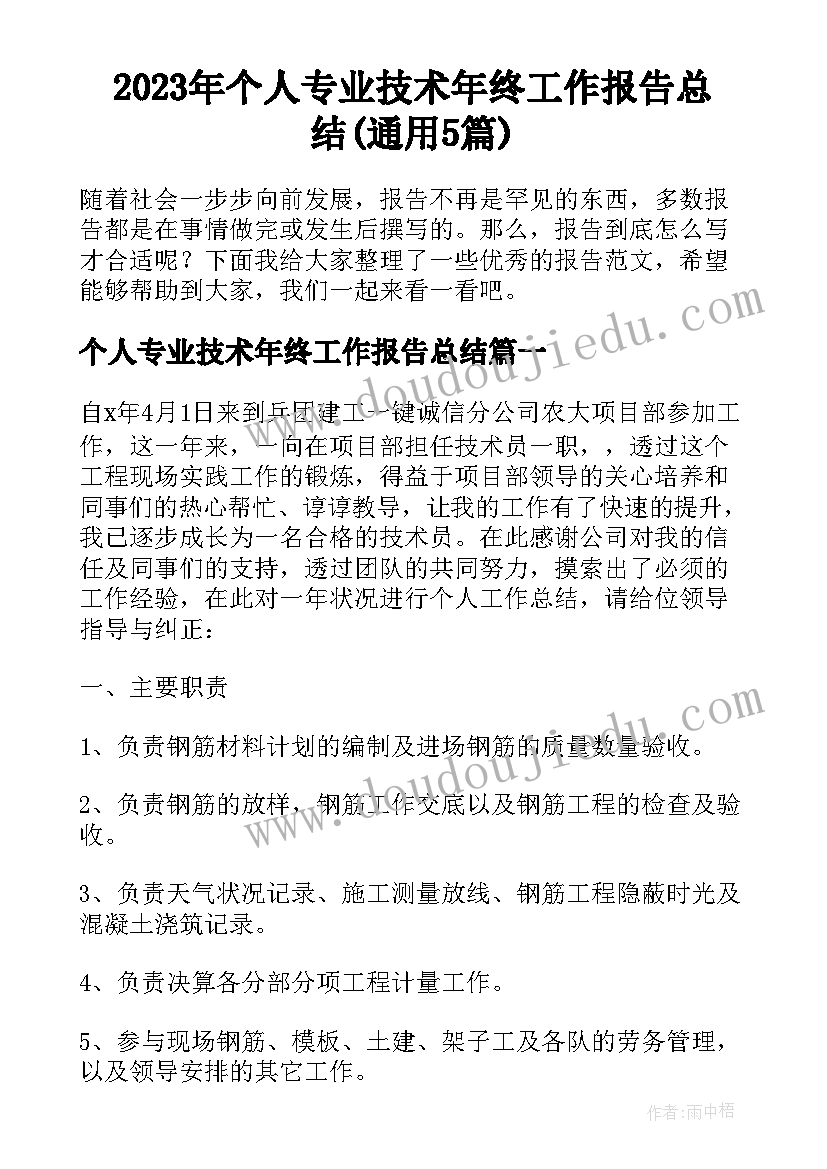 2023年个人专业技术年终工作报告总结(通用5篇)