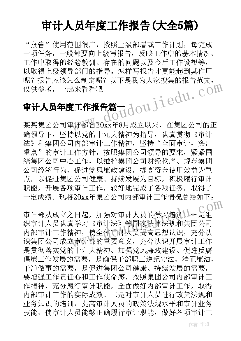 审计人员年度工作报告(大全5篇)