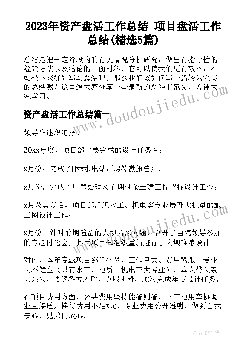 2023年资产盘活工作总结 项目盘活工作总结(精选5篇)