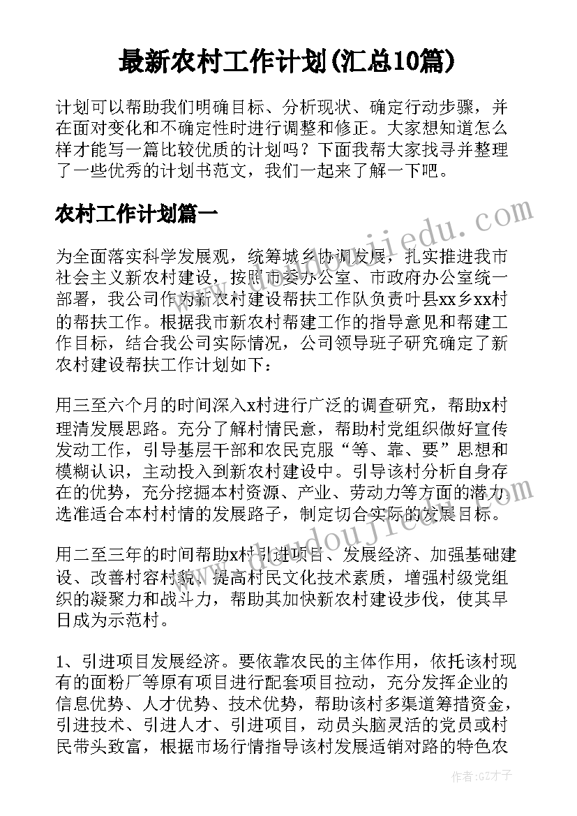 最新农村工作计划(汇总10篇)