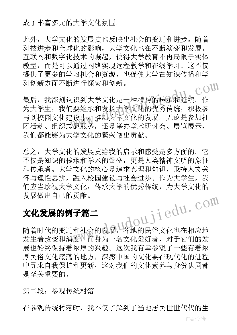 2023年文化发展的例子 大学文化发展史心得体会(模板6篇)