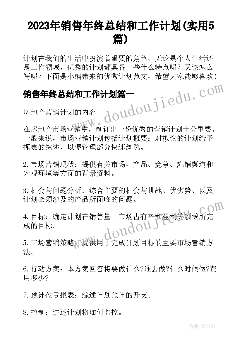 2023年销售年终总结和工作计划(实用5篇)