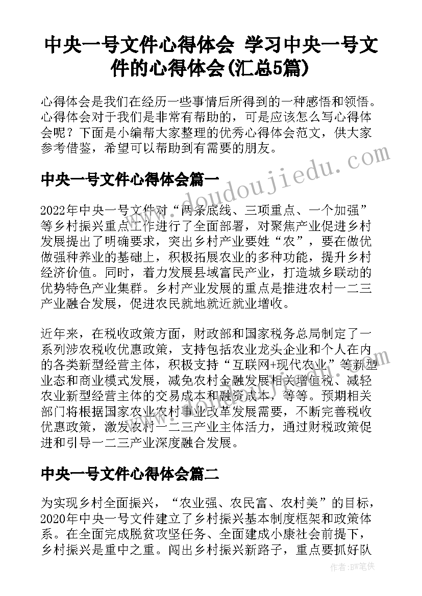 中央一号文件心得体会 学习中央一号文件的心得体会(汇总5篇)