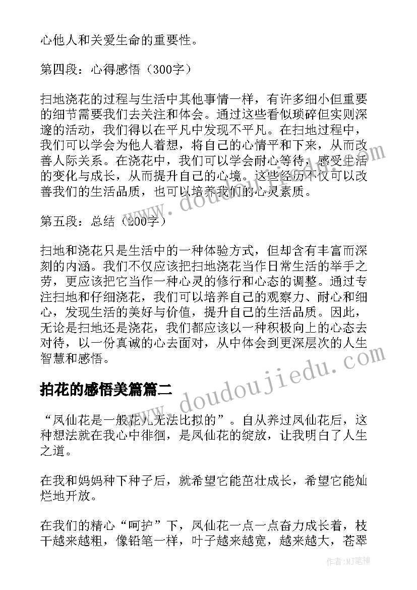 2023年拍花的感悟美篇(精选5篇)