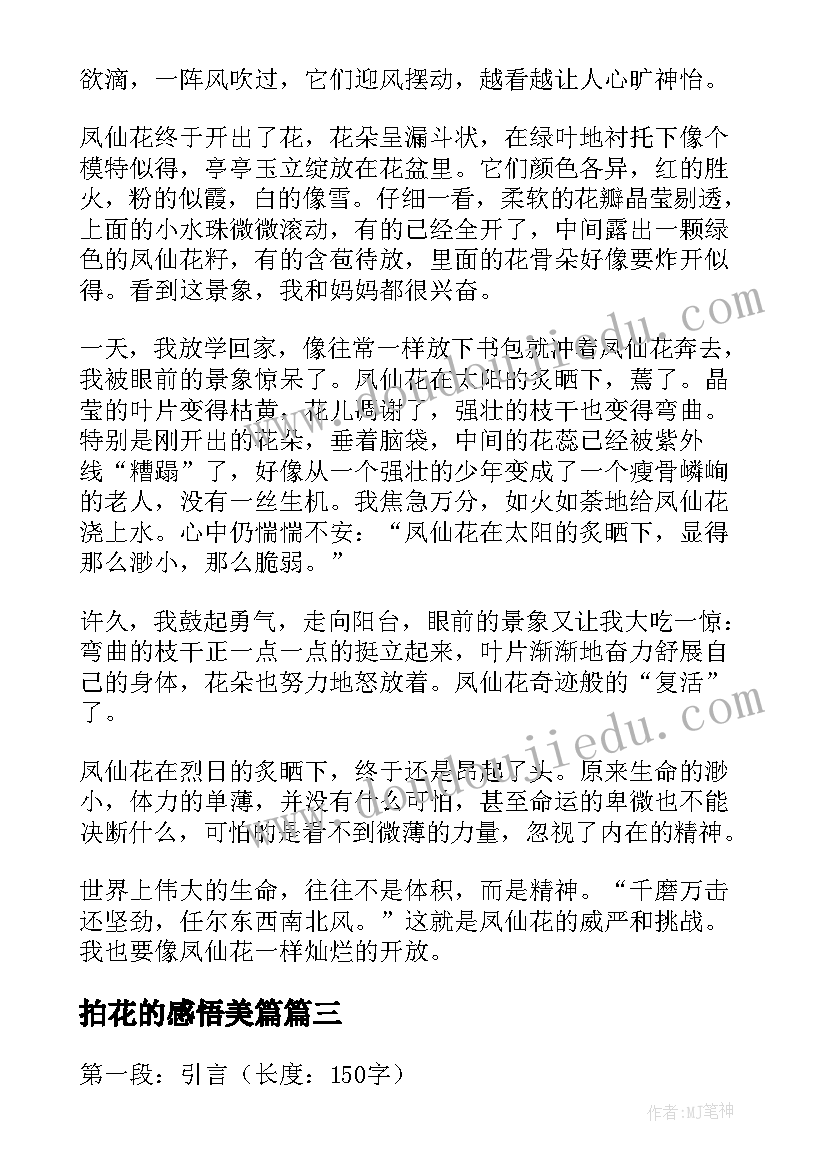 2023年拍花的感悟美篇(精选5篇)