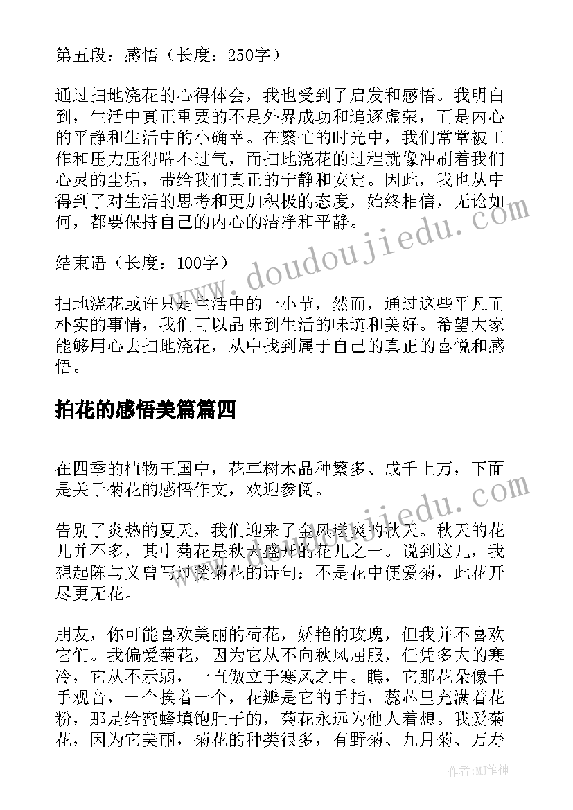 2023年拍花的感悟美篇(精选5篇)