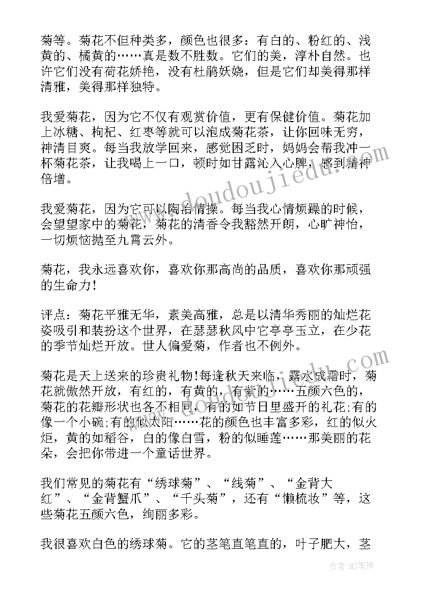 2023年拍花的感悟美篇(精选5篇)