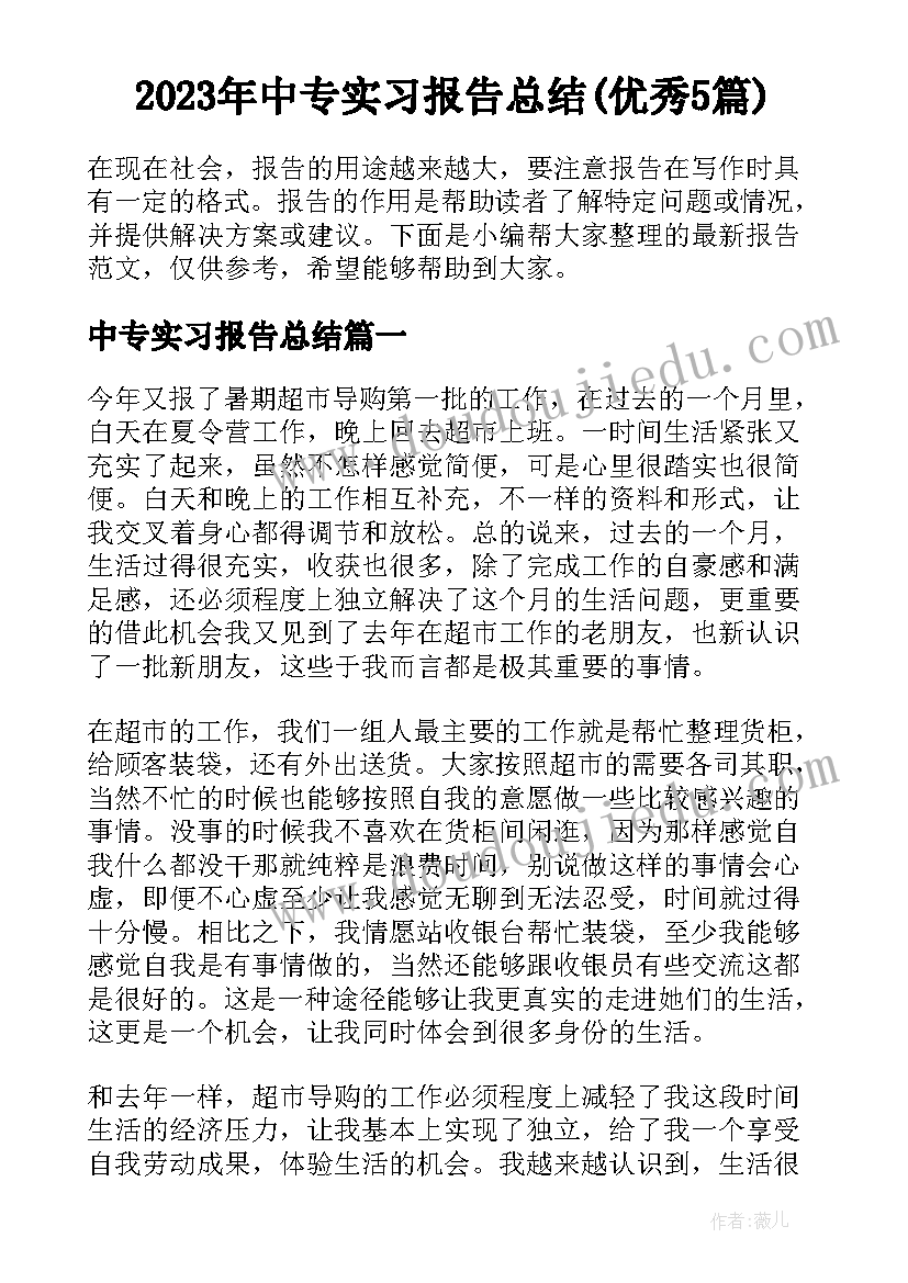 2023年中专实习报告总结(优秀5篇)