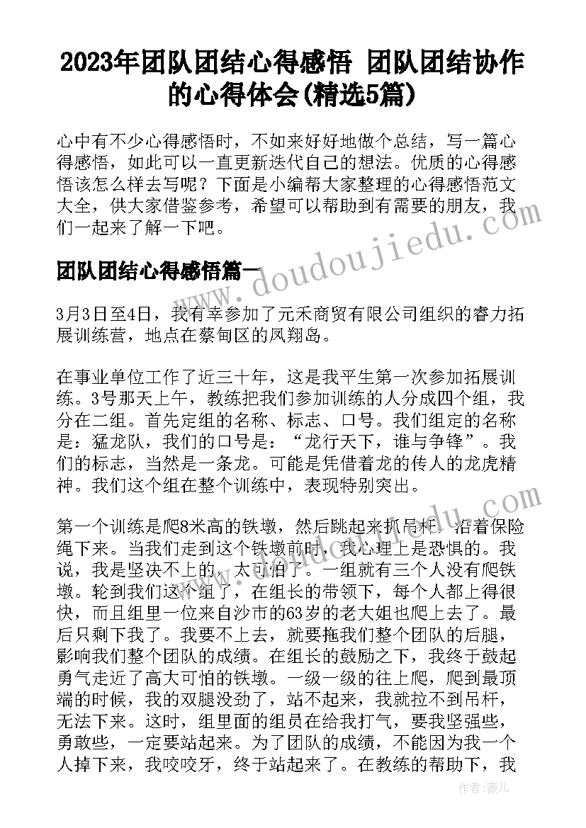 2023年团队团结心得感悟 团队团结协作的心得体会(精选5篇)