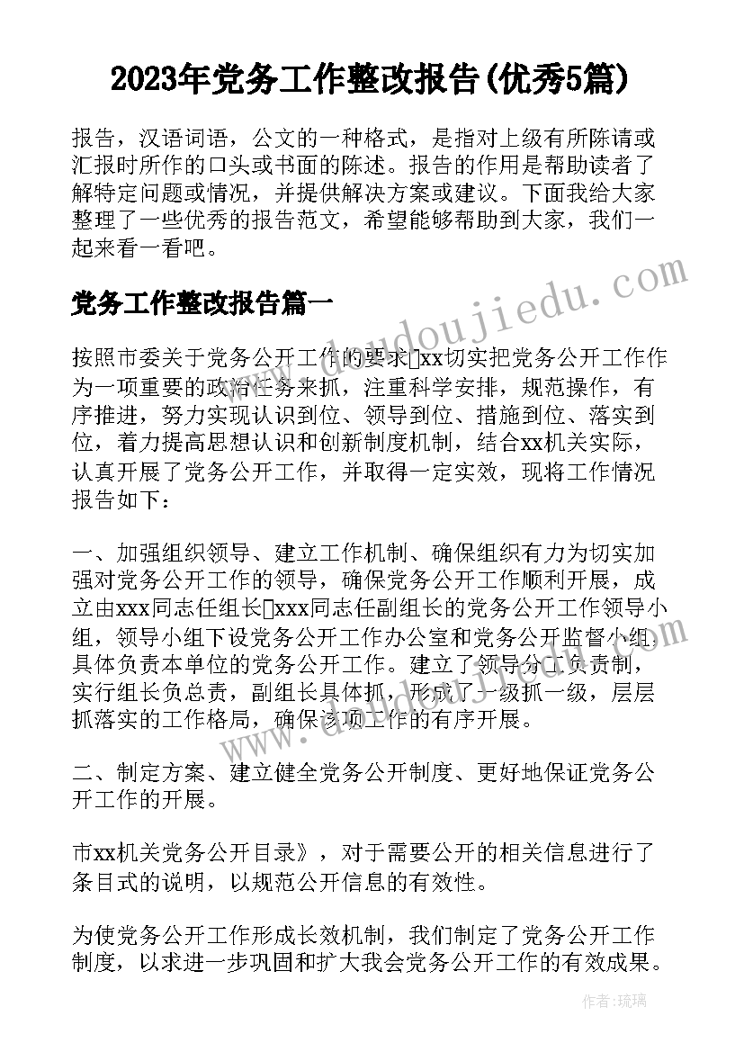 2023年党务工作整改报告(优秀5篇)