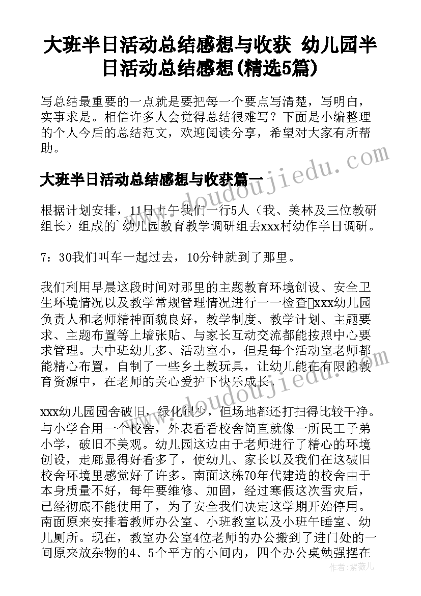 大班半日活动总结感想与收获 幼儿园半日活动总结感想(精选5篇)