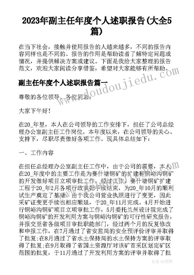 2023年副主任年度个人述职报告(大全5篇)