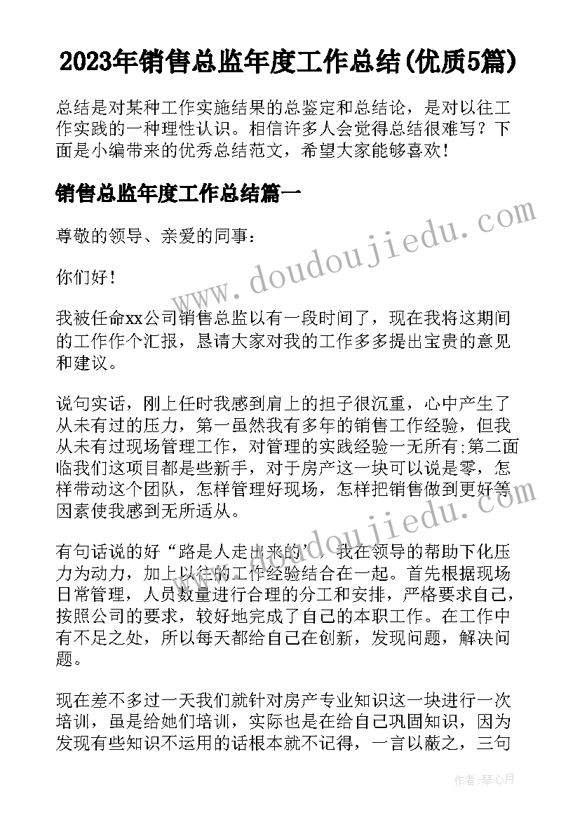 2023年销售总监年度工作总结(优质5篇)