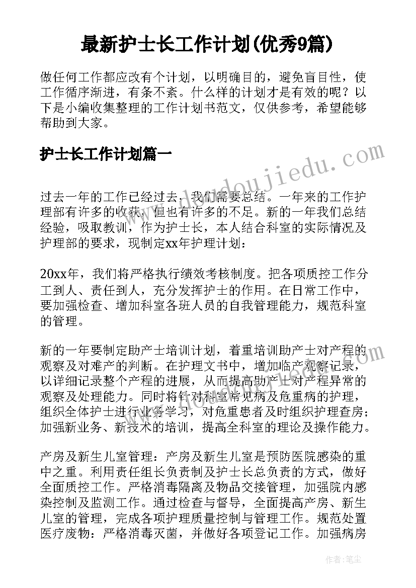 最新护士长工作计划(优秀9篇)