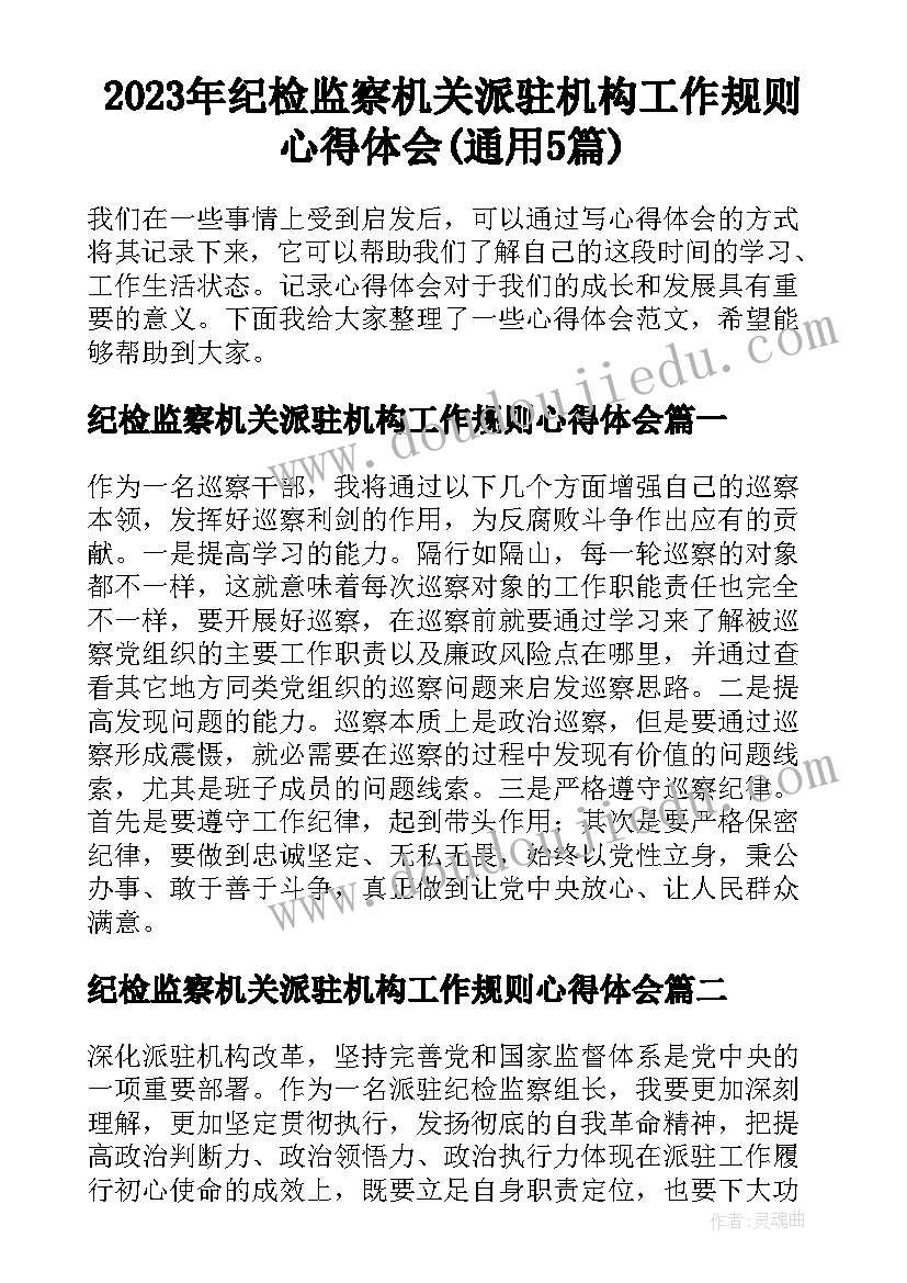 2023年纪检监察机关派驻机构工作规则心得体会(通用5篇)