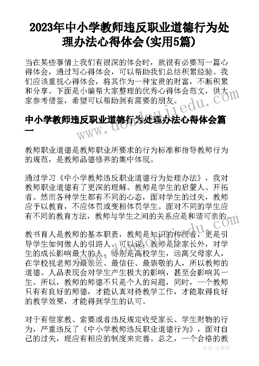 2023年中小学教师违反职业道德行为处理办法心得体会(实用5篇)