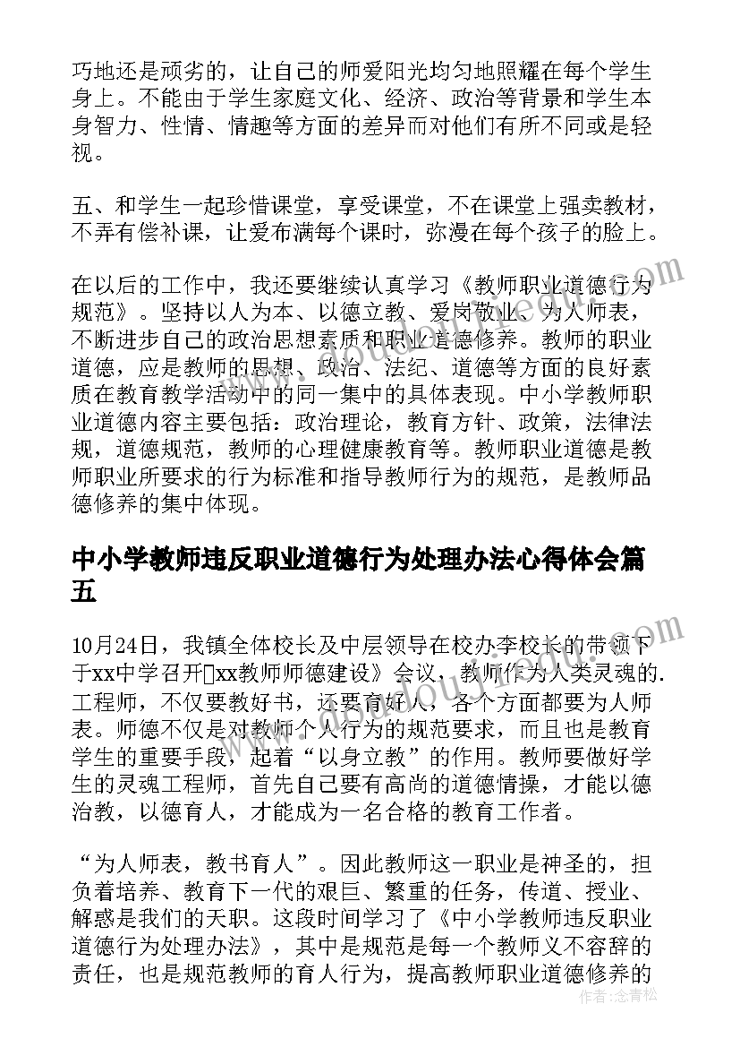 2023年中小学教师违反职业道德行为处理办法心得体会(实用5篇)