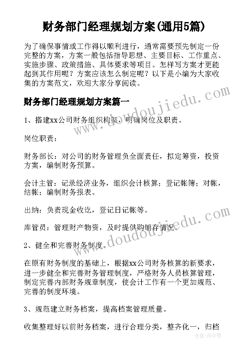 财务部门经理规划方案(通用5篇)