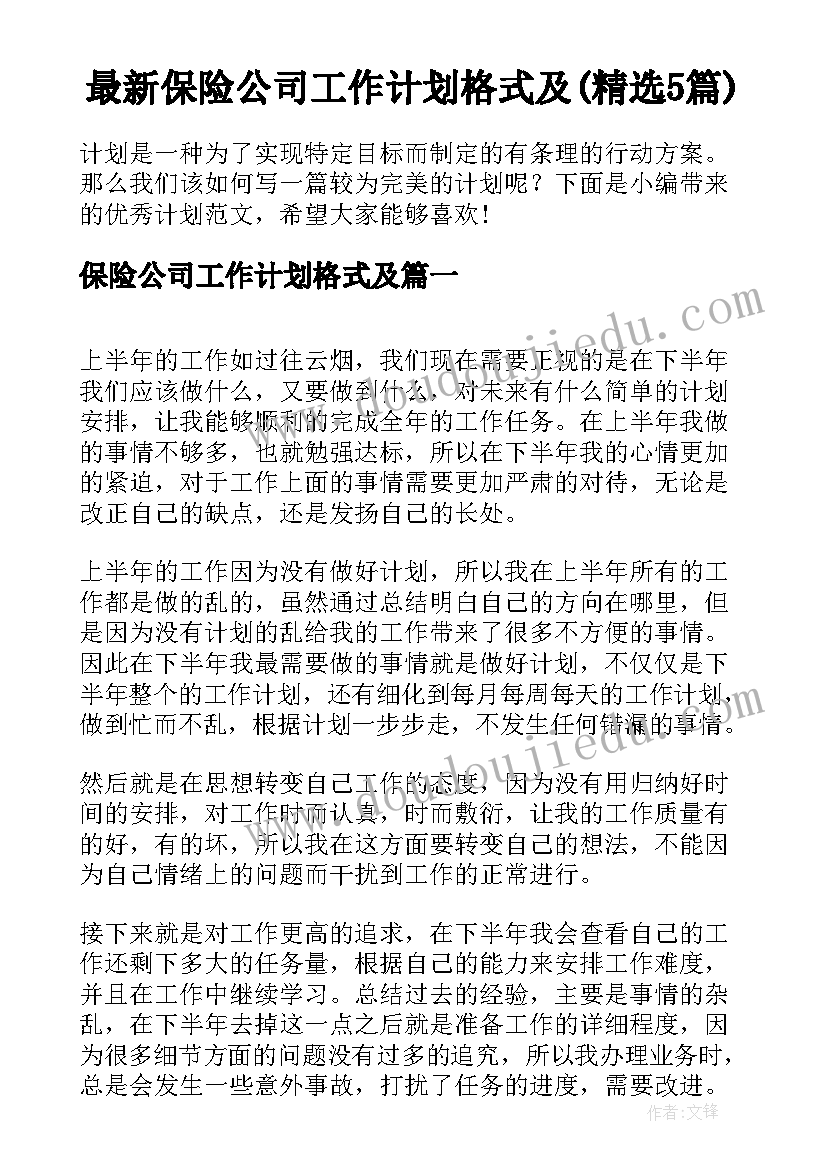 最新保险公司工作计划格式及(精选5篇)