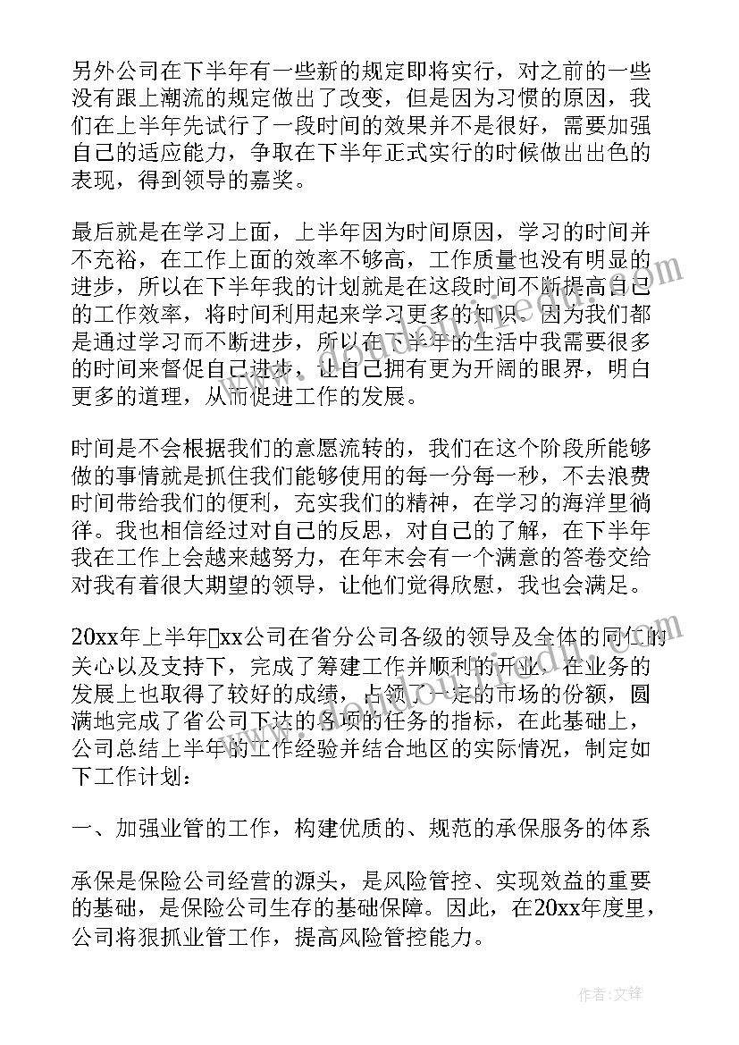 最新保险公司工作计划格式及(精选5篇)