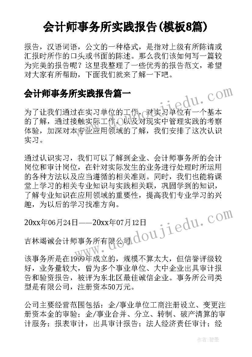 会计师事务所实践报告(模板8篇)