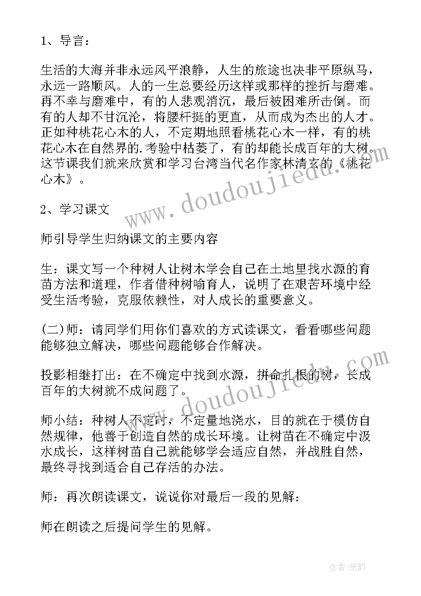 最新桃花心木教案板书设计(大全5篇)