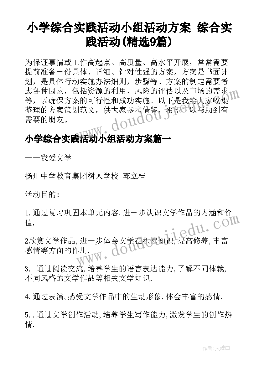 小学综合实践活动小组活动方案 综合实践活动(精选9篇)