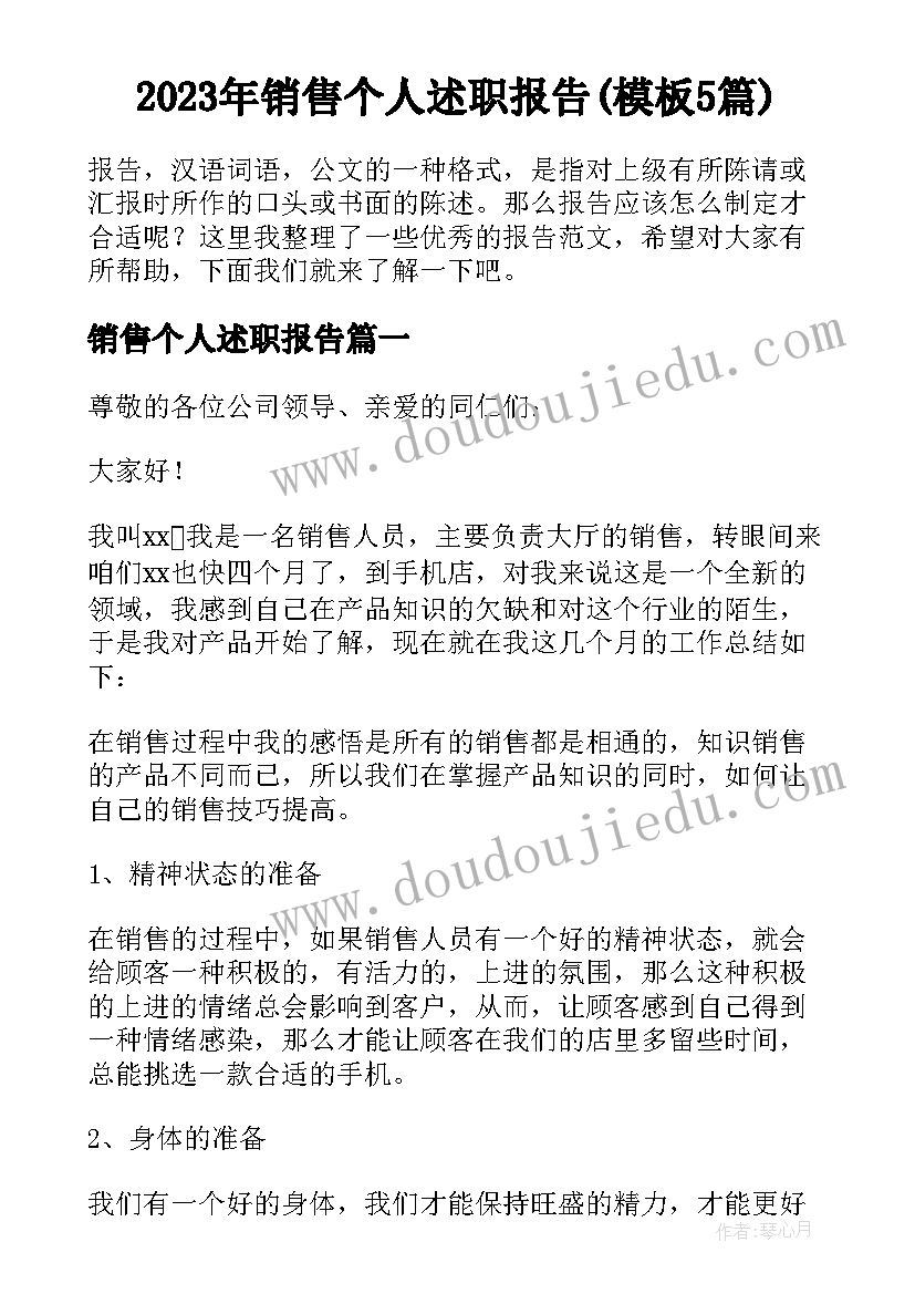 2023年销售个人述职报告(模板5篇)