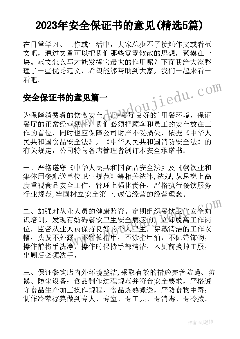 2023年安全保证书的意见(精选5篇)