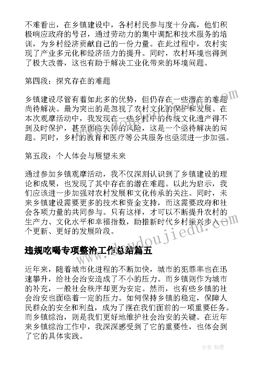 2023年违规吃喝专项整治工作总结(实用9篇)