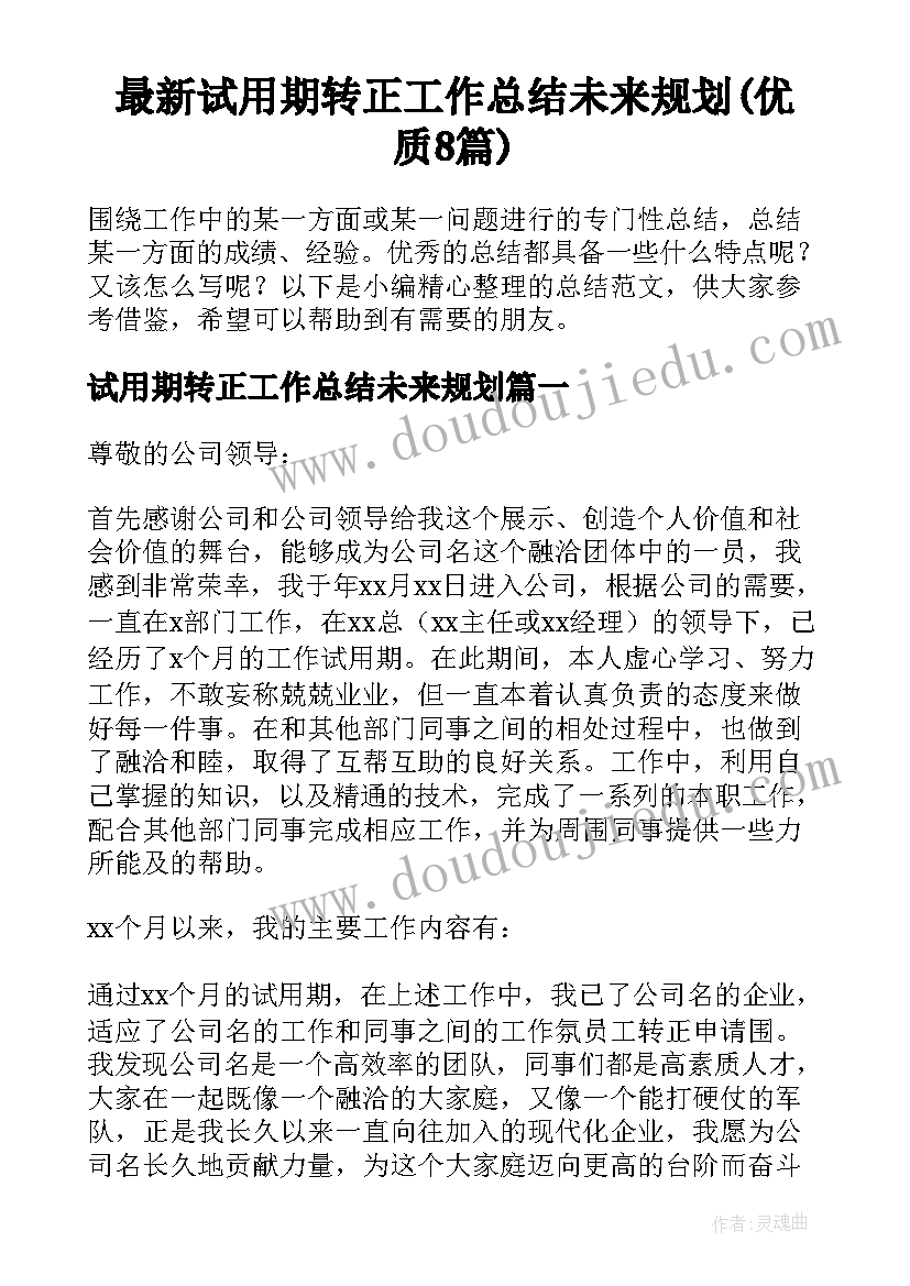 最新试用期转正工作总结未来规划(优质8篇)