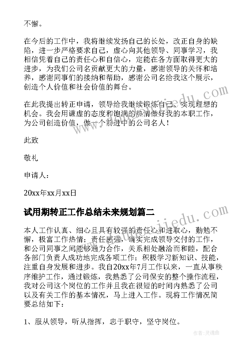 最新试用期转正工作总结未来规划(优质8篇)