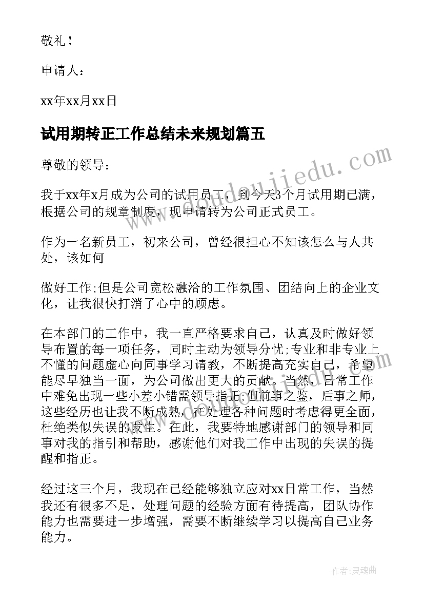 最新试用期转正工作总结未来规划(优质8篇)