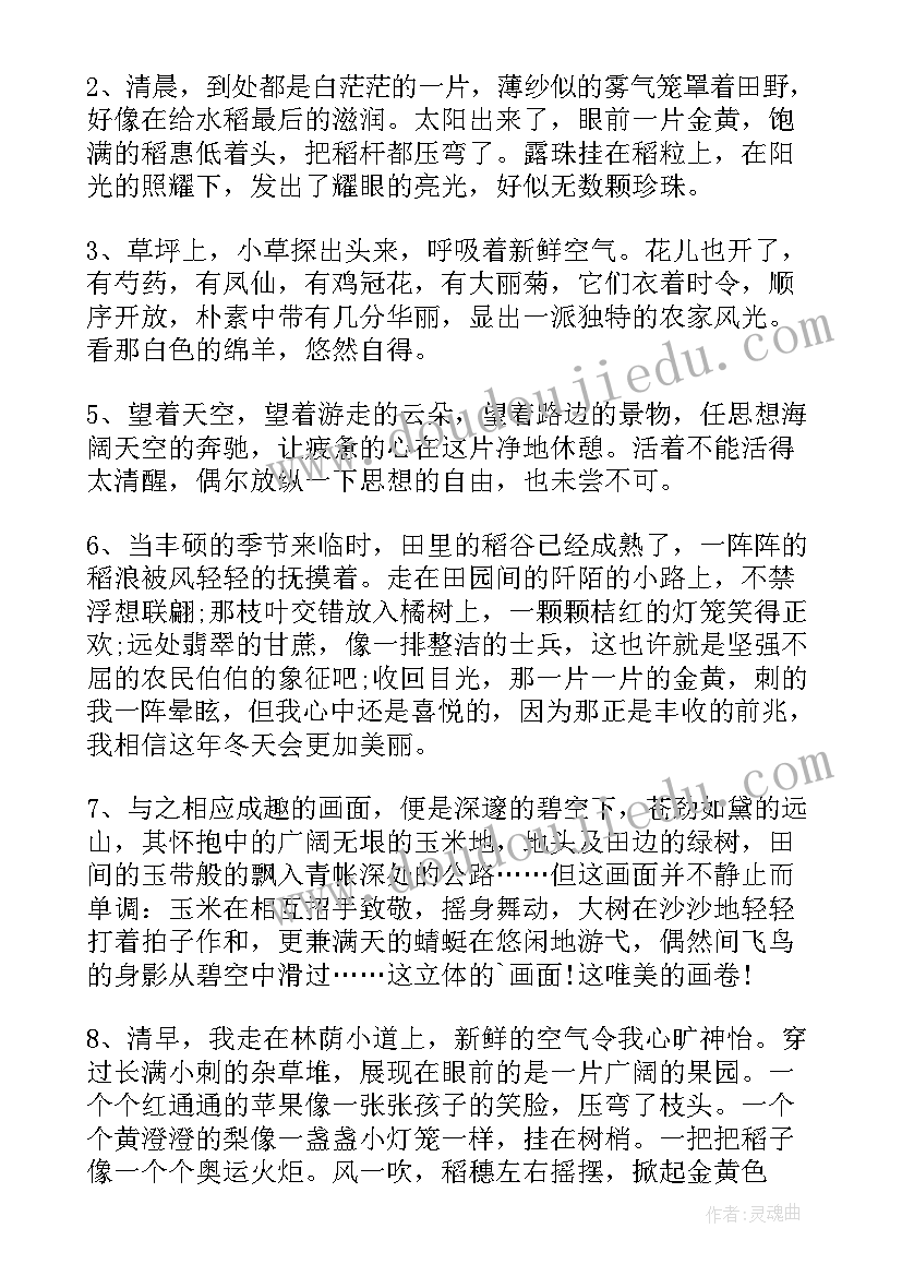 田园风光好词好句摘抄 田园风光的好词好句田园风光的词句(模板5篇)