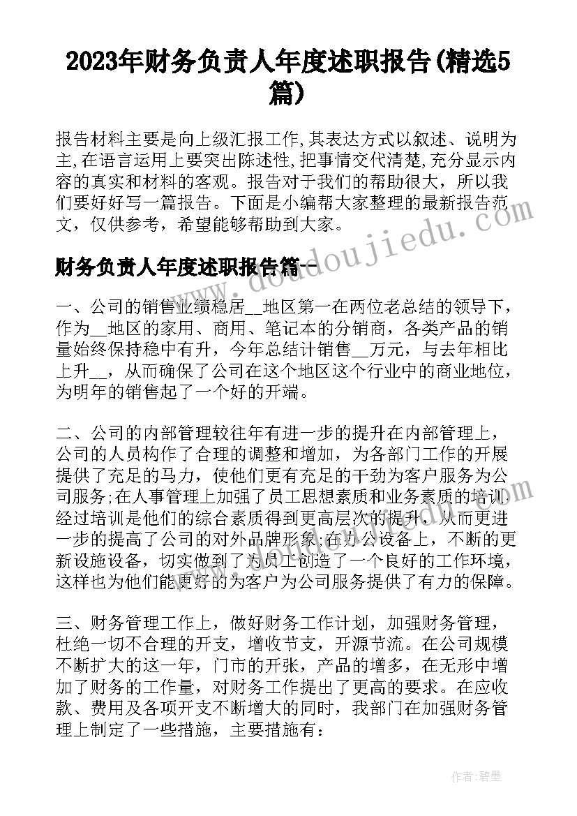 2023年财务负责人年度述职报告(精选5篇)