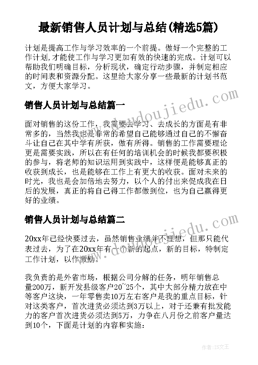 最新销售人员计划与总结(精选5篇)