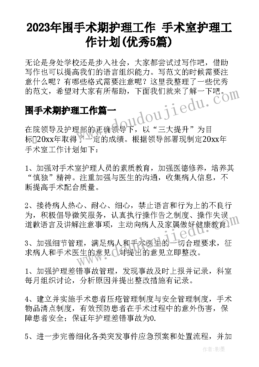 2023年围手术期护理工作 手术室护理工作计划(优秀5篇)