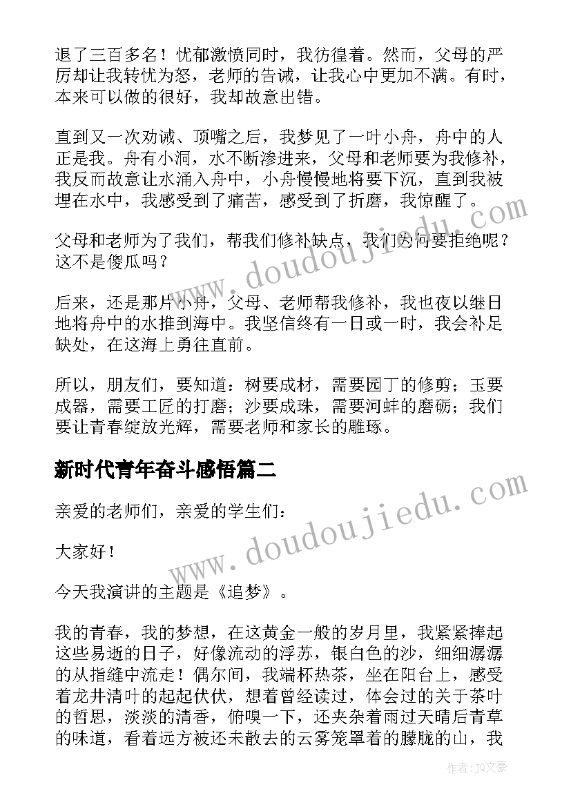 2023年新时代青年奋斗感悟(汇总5篇)