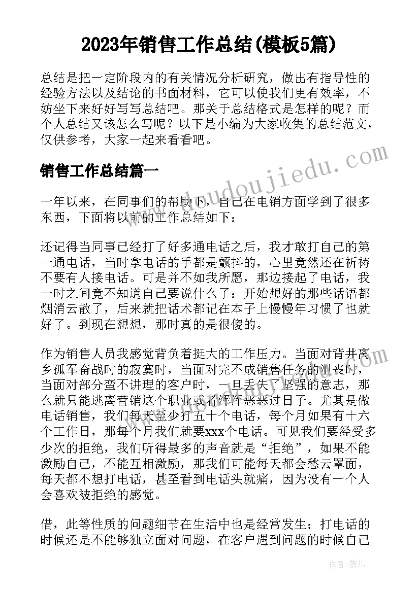 2023年销售工作总结(模板5篇)