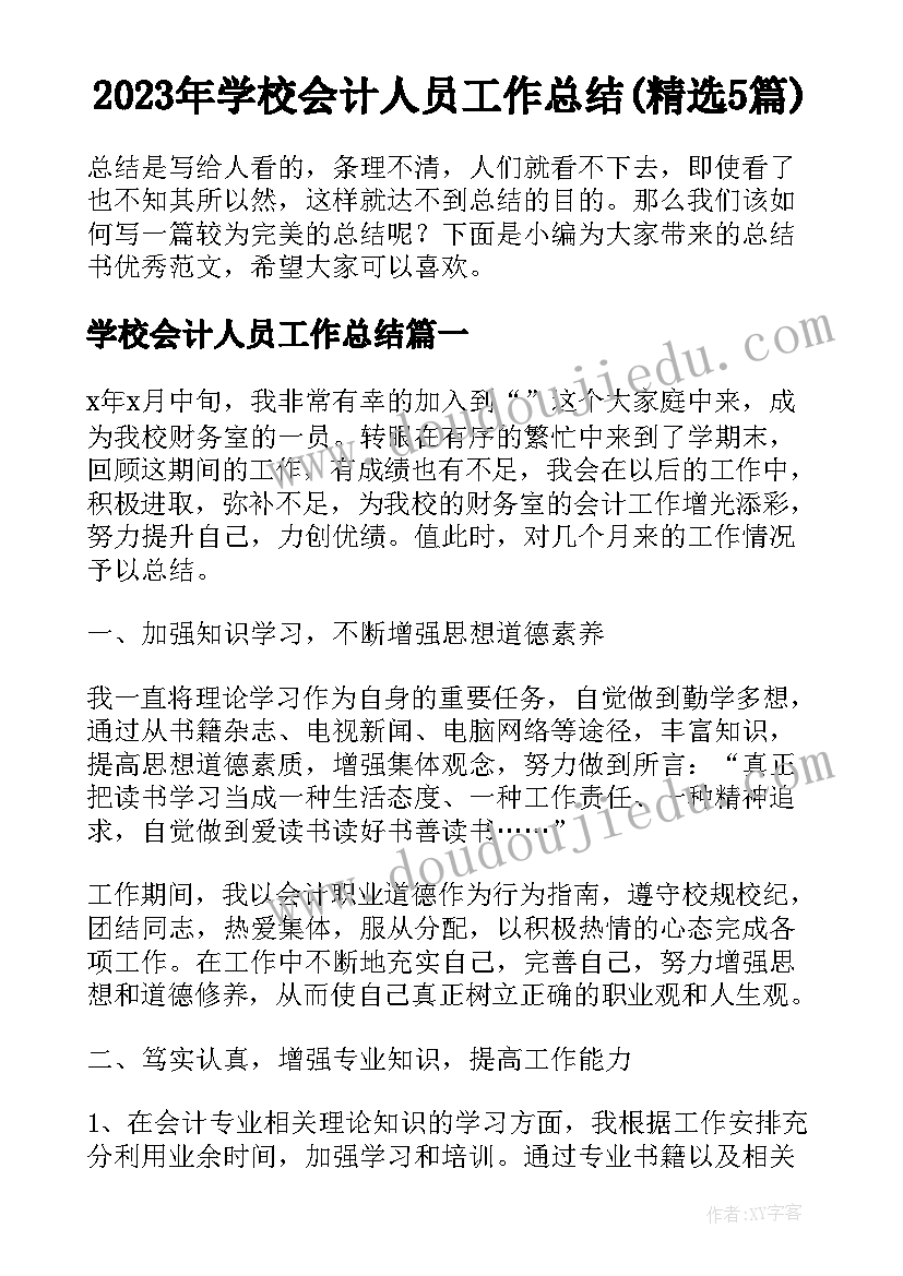 2023年学校会计人员工作总结(精选5篇)