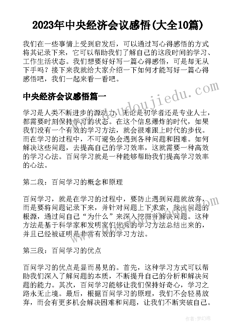 2023年中央经济会议感悟(大全10篇)