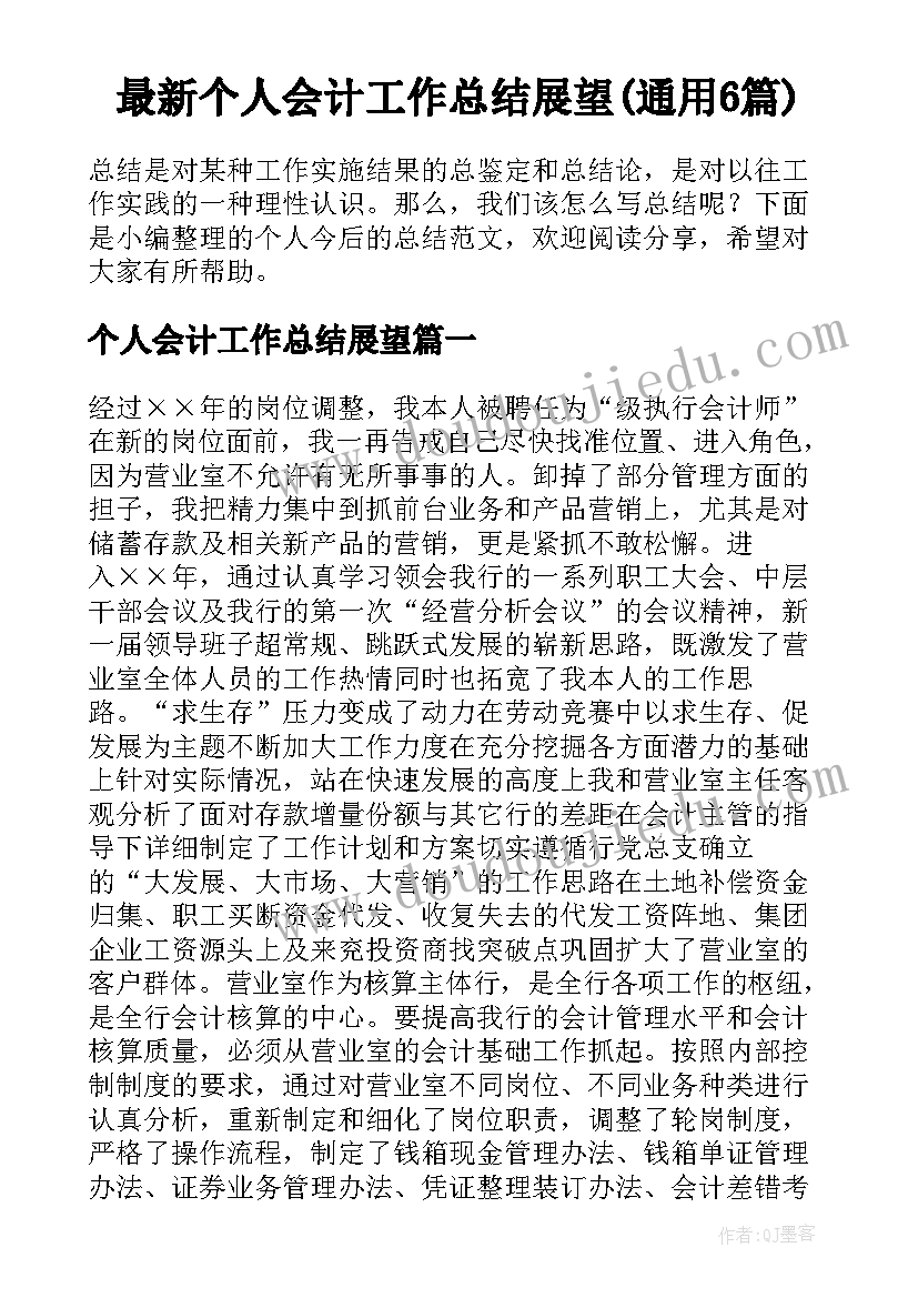 最新个人会计工作总结展望(通用6篇)