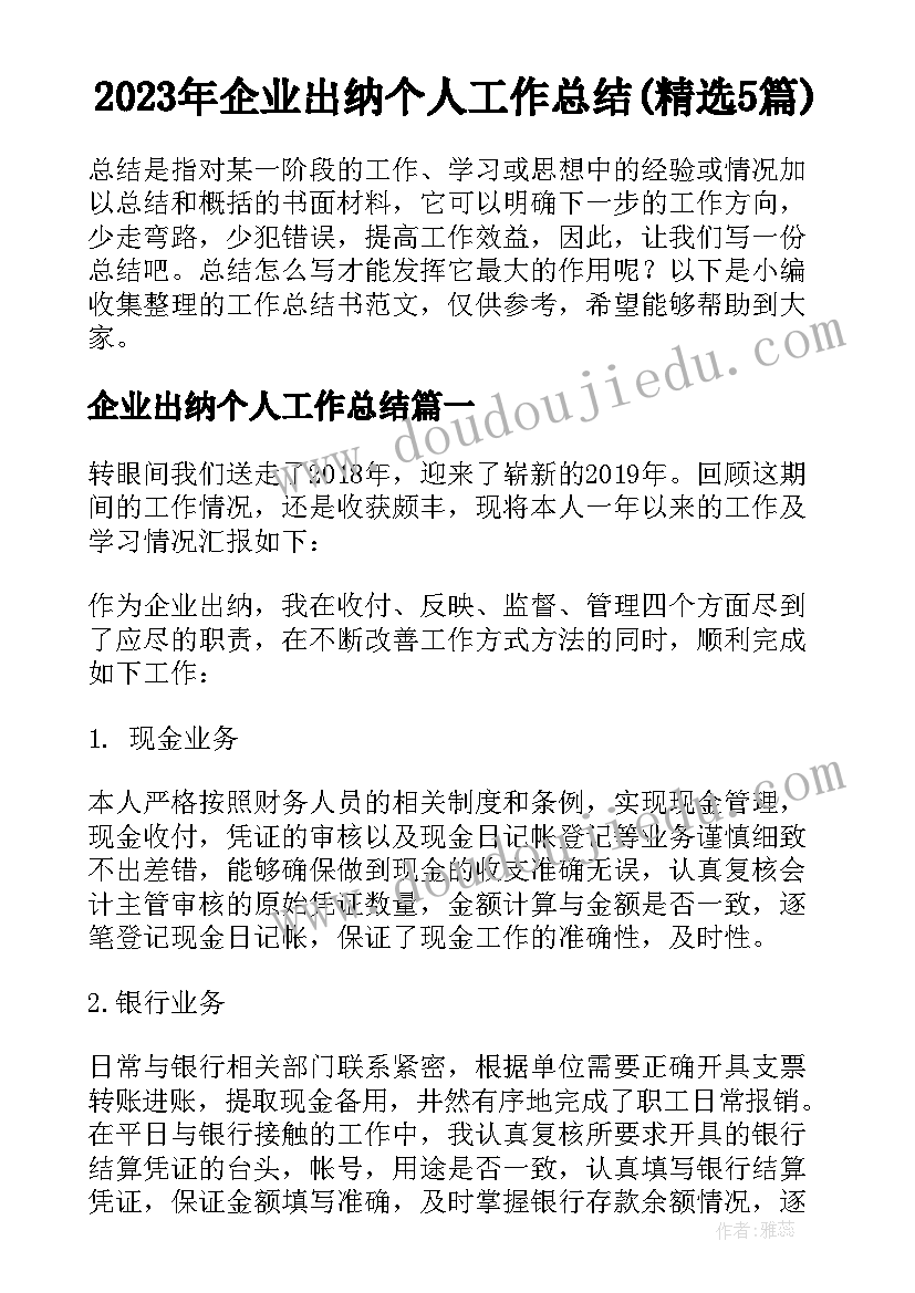 2023年企业出纳个人工作总结(精选5篇)