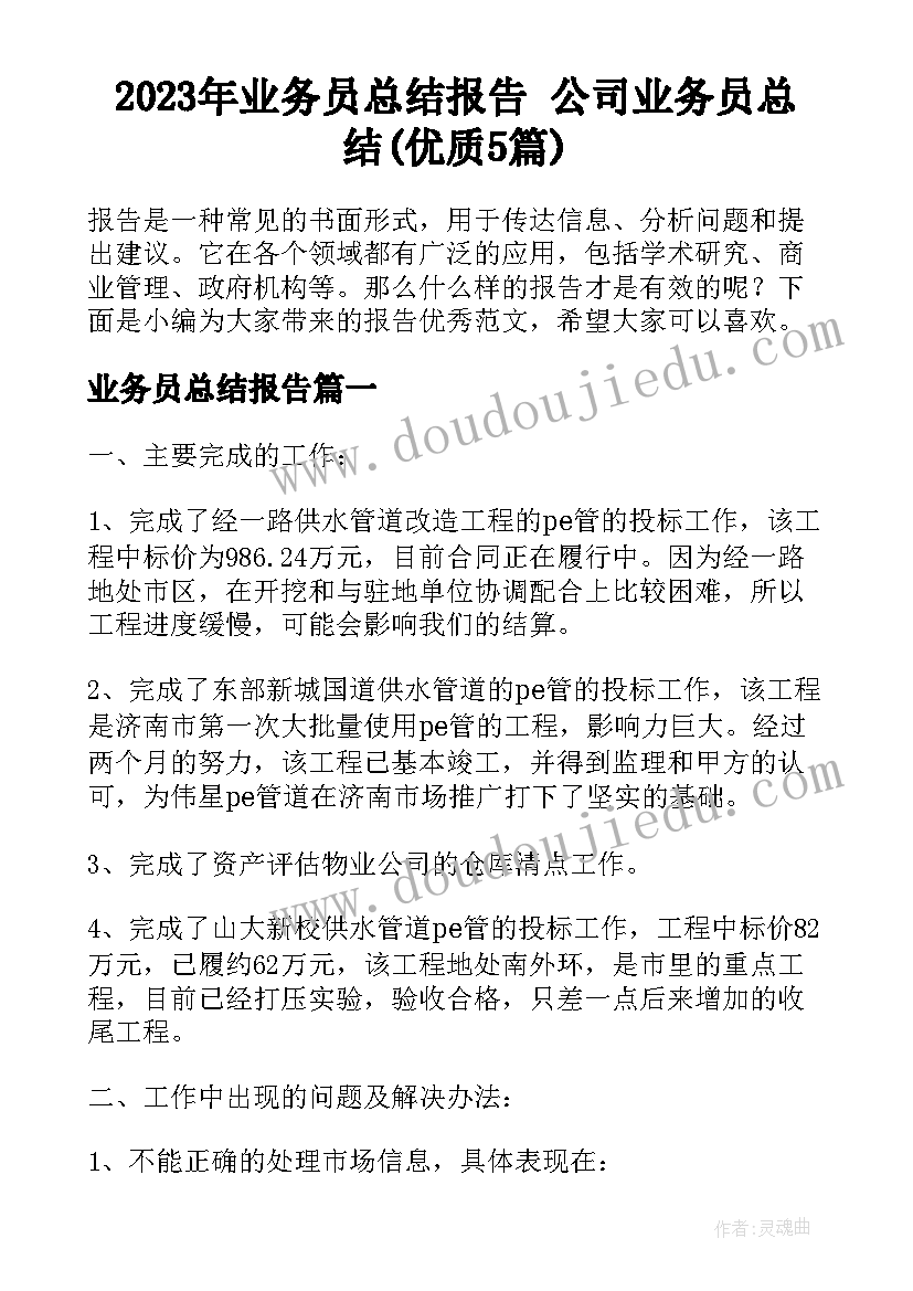 2023年业务员总结报告 公司业务员总结(优质5篇)