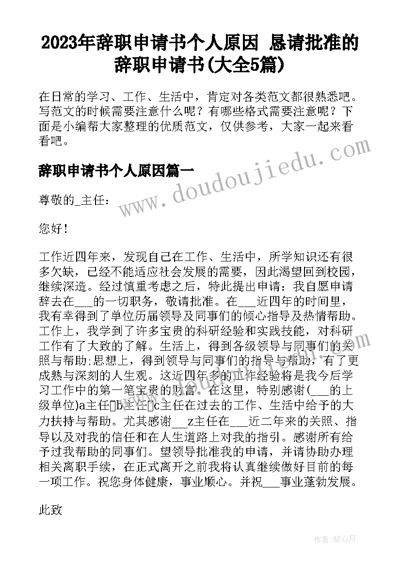 2023年辞职申请书个人原因 恳请批准的辞职申请书(大全5篇)