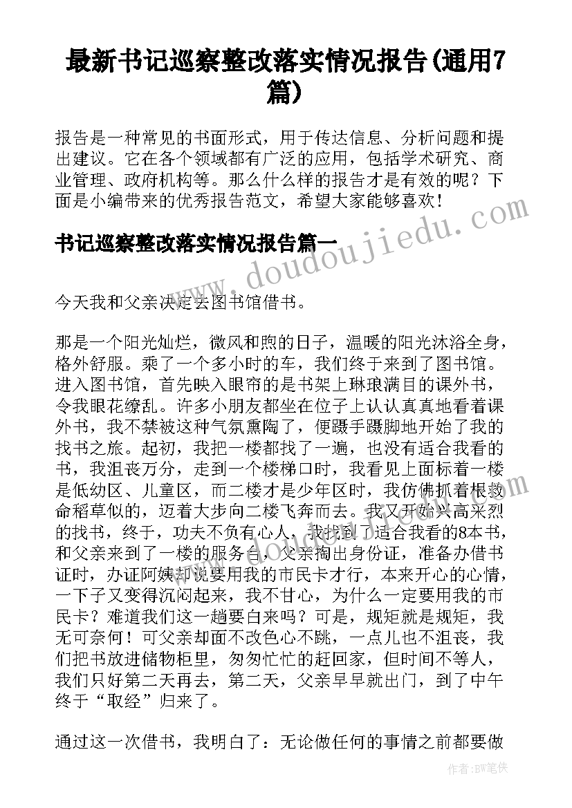 最新书记巡察整改落实情况报告(通用7篇)