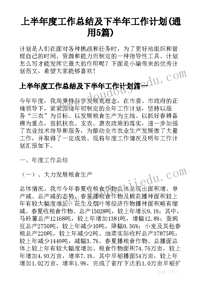 上半年度工作总结及下半年工作计划(通用5篇)